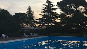 En pool med klart vatten som speglar träden, omgiven av solstolar.