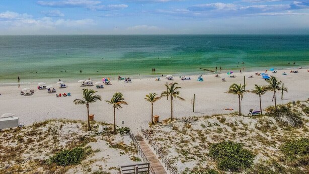 A beach with palm trees, umbrellas, and people. - Madeira Beach Yacht Club! Steps to Beach Access! (North Redington Beach)