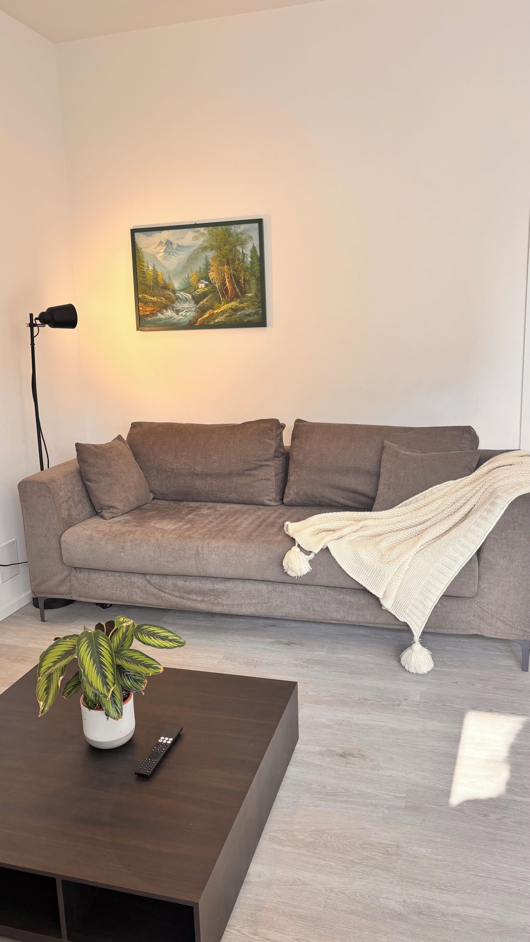 A living room with a sofa, a painting, a lamp, a coffee table with a plant, and a remote control.