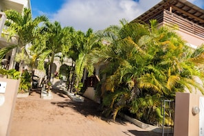 A paved pathway flanked by palm trees and buildings with a clear sky above.