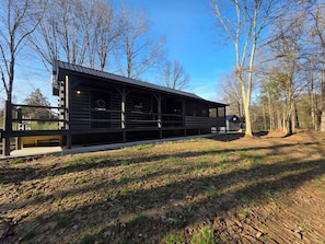 A modern log cabin with a metal roof, surrounded by a forest.