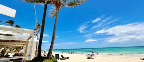Une plage bordée de palmiers, une étendue de sable et un ciel bleu azur.