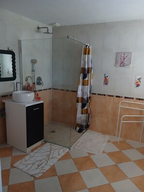 Hair dryer, towels, soap, toilet paper