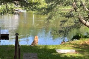 Àrea exterior de l'allotjament