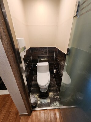 Deluxe Twin Room, Housekeeping, City View | Bathroom - Galaxy hotel (Incheon)