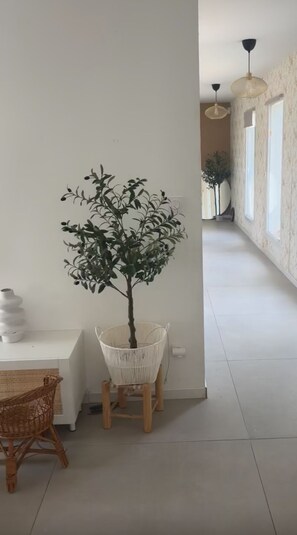 Ein Zimmer mit weißer Wand, einem kleinen Holztisch, einem Korbstuhl, einem weißen Webstuhl-Sessel und einer Topfpflanze.