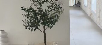 Charming Provencal villa with swimming pool Absolute peace and quiet Ideal for vacations in Occitanie