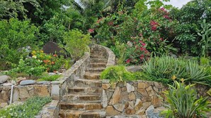 Eine steinerne Treppe, umgeben von üppigem Grün und blühenden Pflanzen.