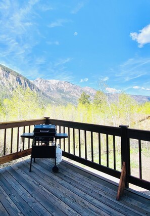 Property grounds - New!!  Relax and enjoy this peaceful, secluded home at the end of the road. (Marble)