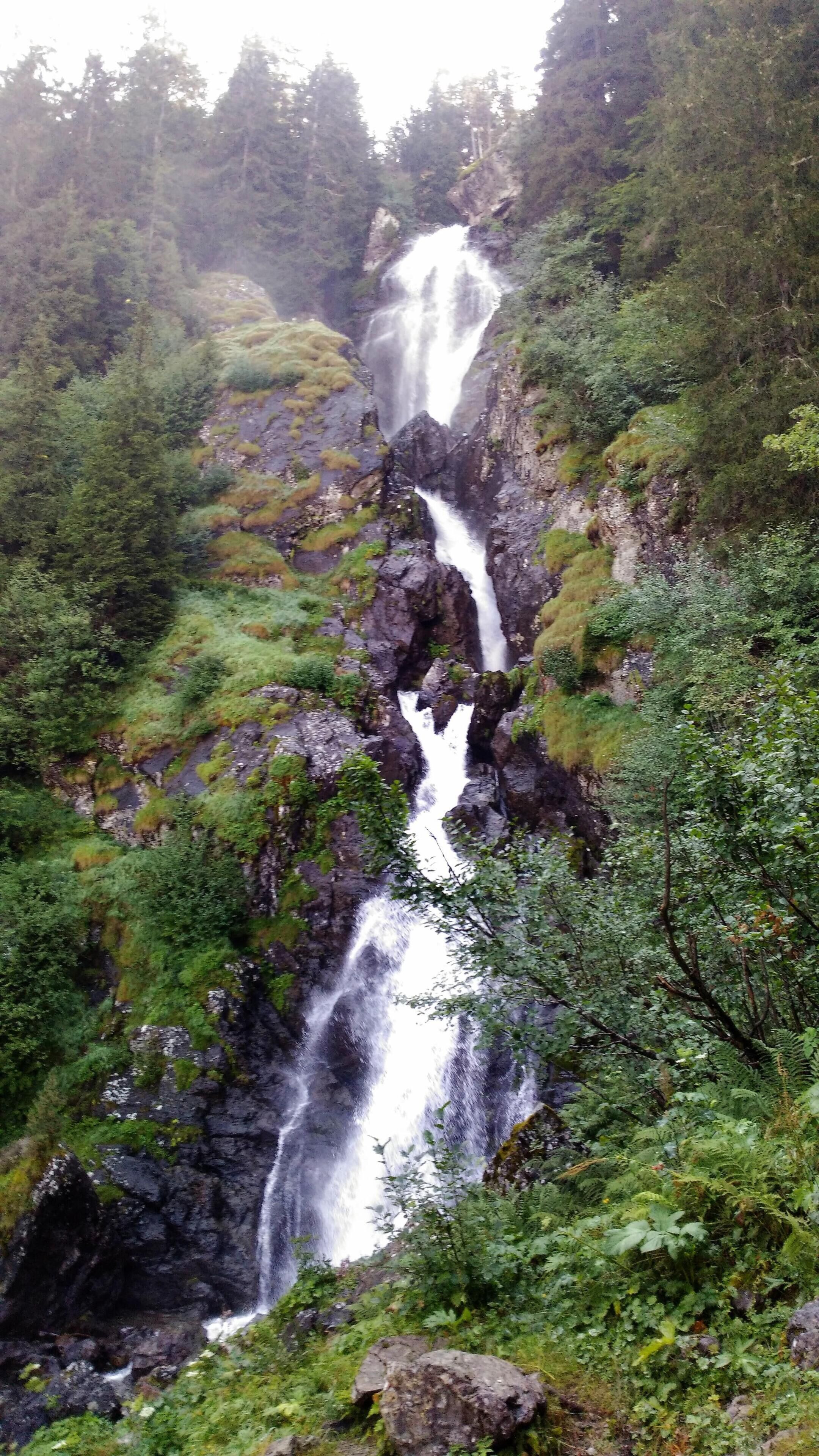 Uma cascata desce por um penhasco rochoso, rodeada por vegetação densa.