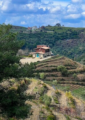 Miscellaneous - Ayda Bağları (İzmir)