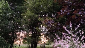 Un paisaje natural con vegetación densa, diversas plantas y un sendero visible.