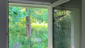 Una ventana con vistas a un árbol y follaje.