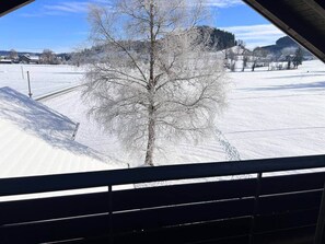Paisatge nevós amb un arbre sense fulles al primer pla i un cel serè.