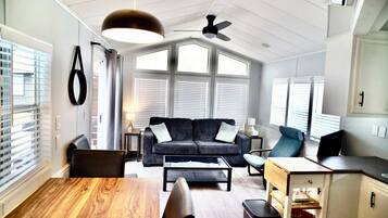 Smart-TV, Kamin