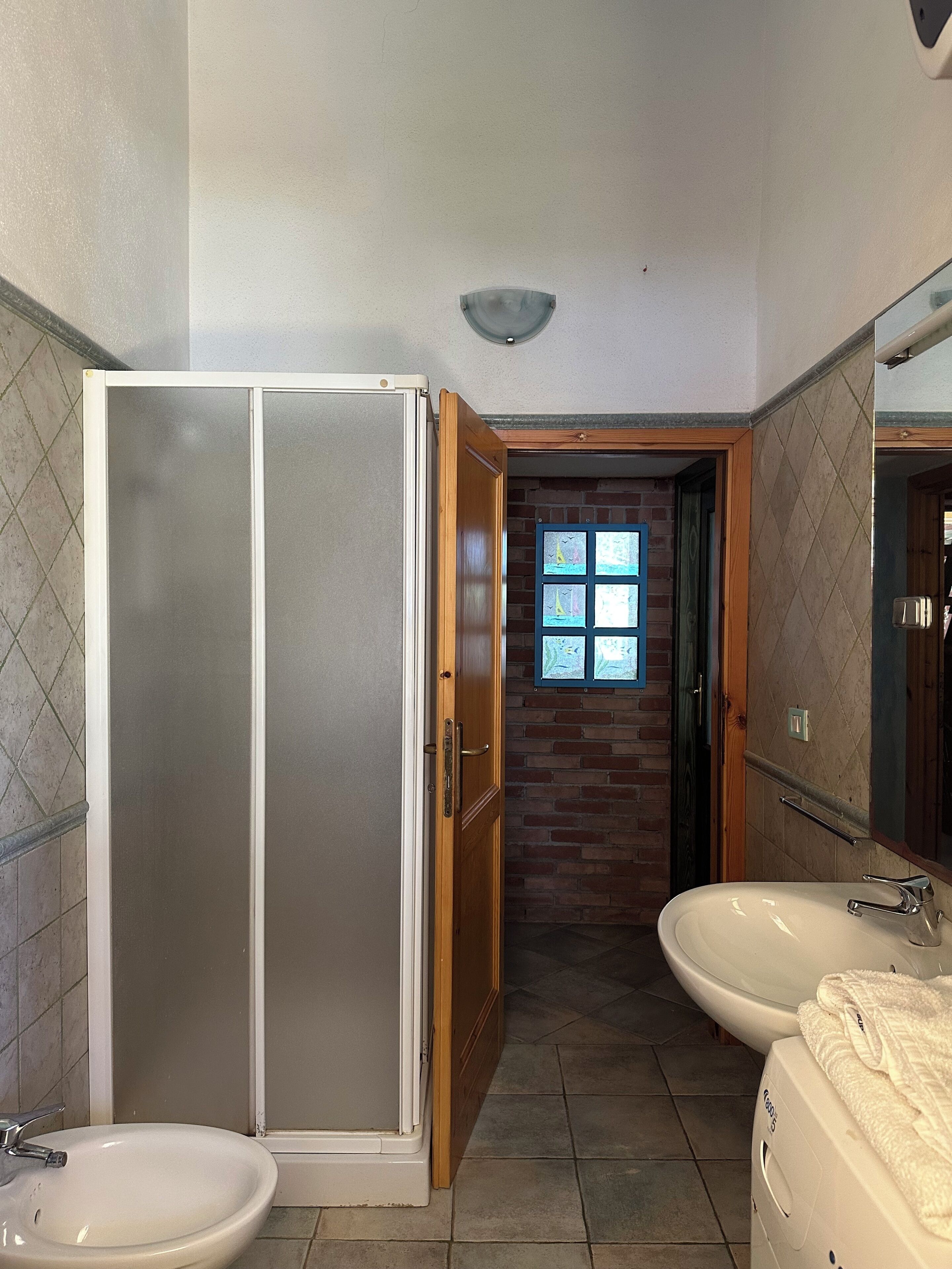 Shower, hair dryer, bidet, towels