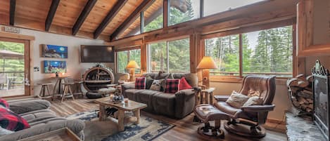 TV, fireplace, books