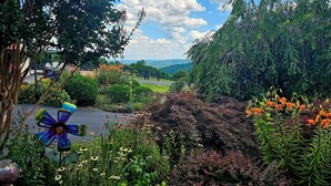 A garden with various plants and flowers, a road, and a distant view of hills. - "The Love Nest" - Stunning Views overlooking the Shenandoah in Wine Country (Markham)
