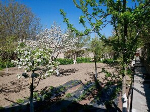 Vista al jardín