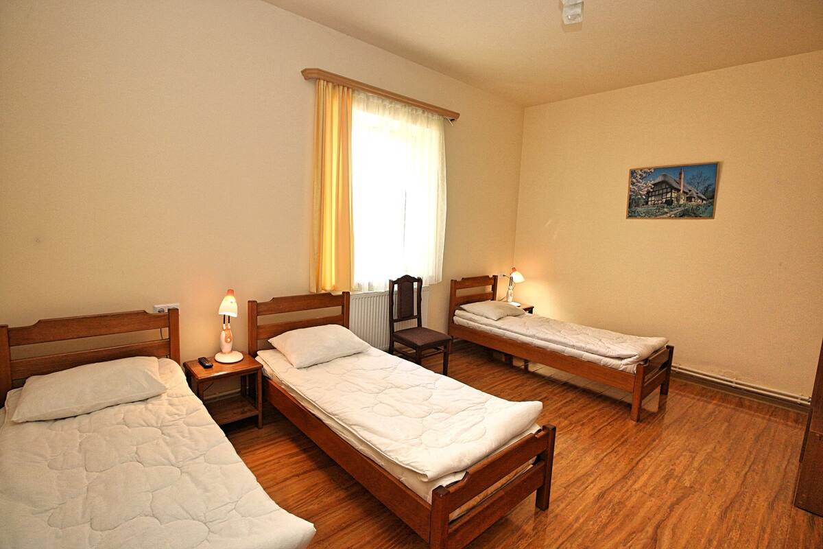 A hotel room with three wooden beds, a nightstand with a lamp, a radiator, and a painting on the wall.