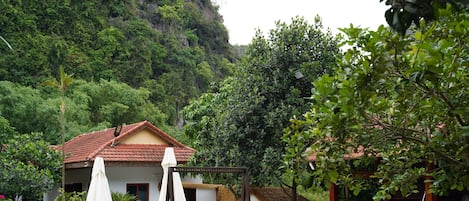 A pool area with lounge chairs, a thatched-roof building, and lush greenery.