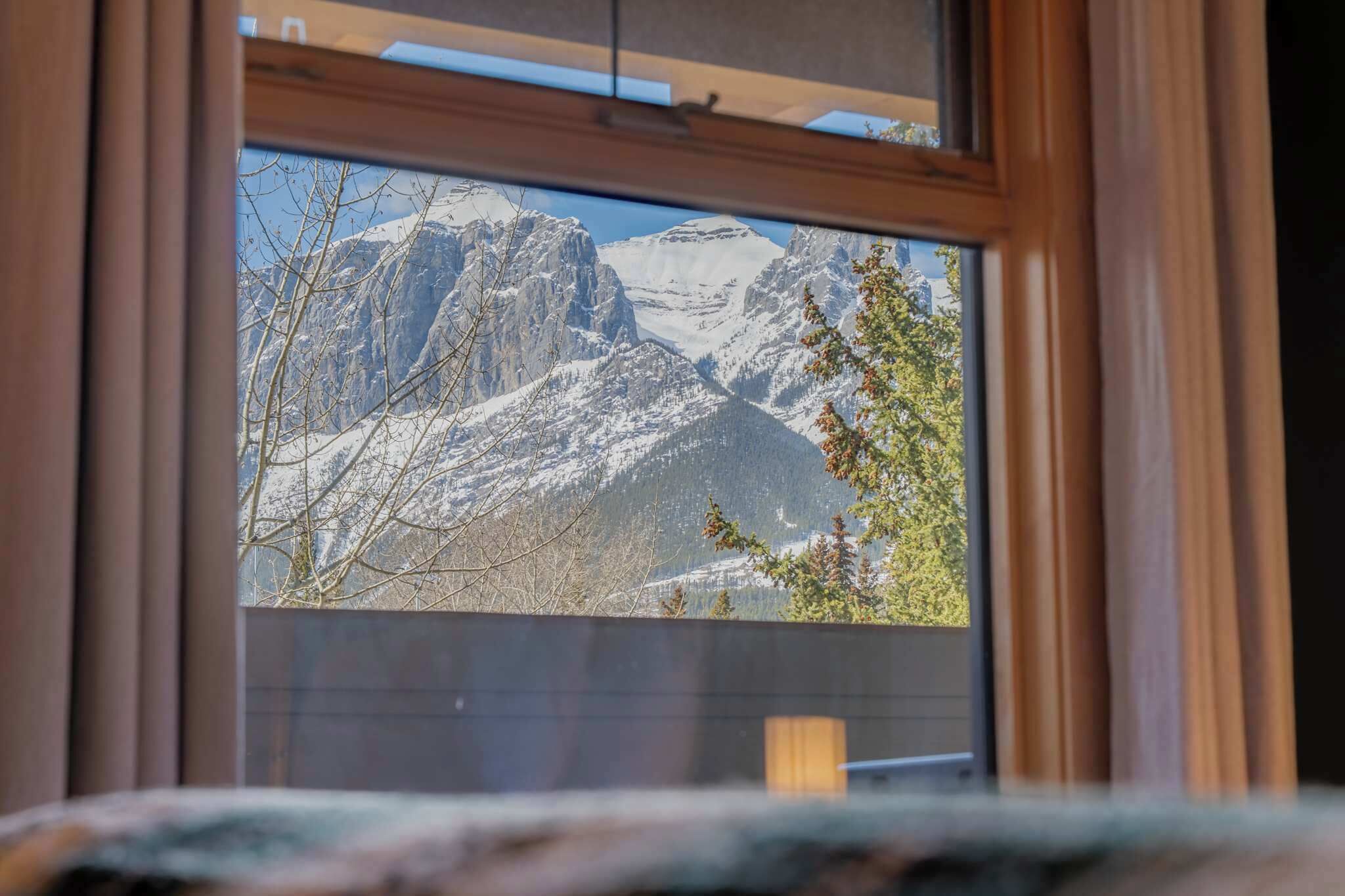 A window with a view of snow-capped mountains and bare trees.