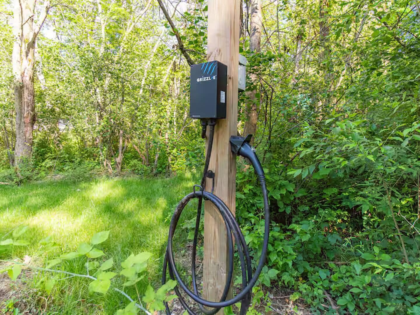 Une boîte électrique extérieure, avec un câble qui y est raccordé, se détache sur un fond de verdure.