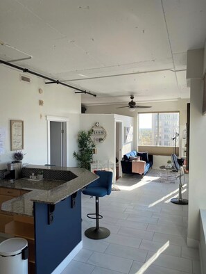 Interior - High rise Exquisite Comfortable Loft (Edmonton)