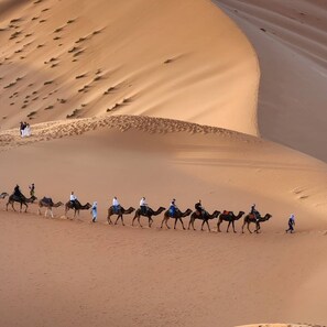 Miscellaneous - Sunbright luxury camp (Merzouga)