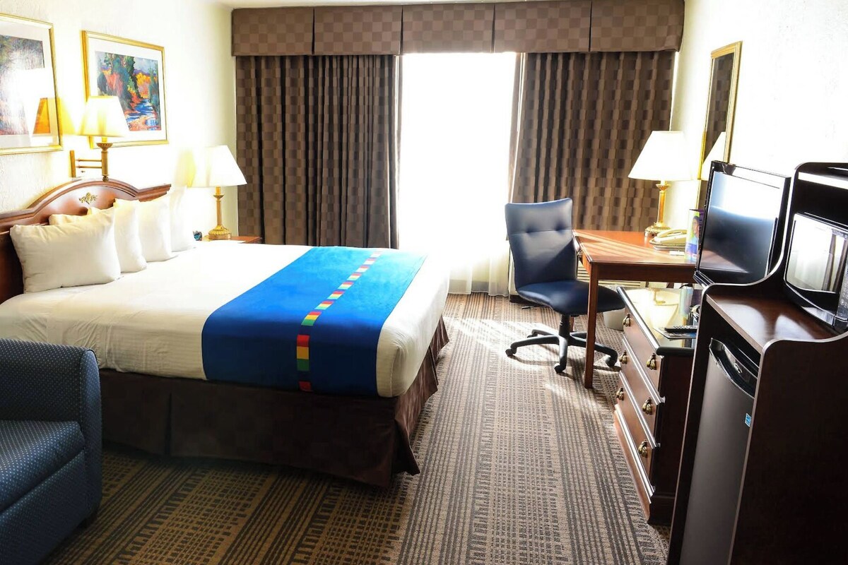 Une chambre d’hôtel avec un lit, un bureau avec une télévision, une chaise et deux tableaux au mur.