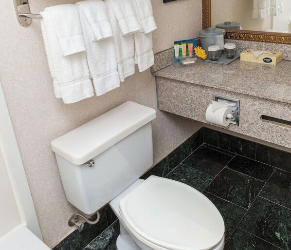 A bathroom with a toilet, a sink, a towel rack, and a mirror. - Kiteville Sharon (West Middlesex)