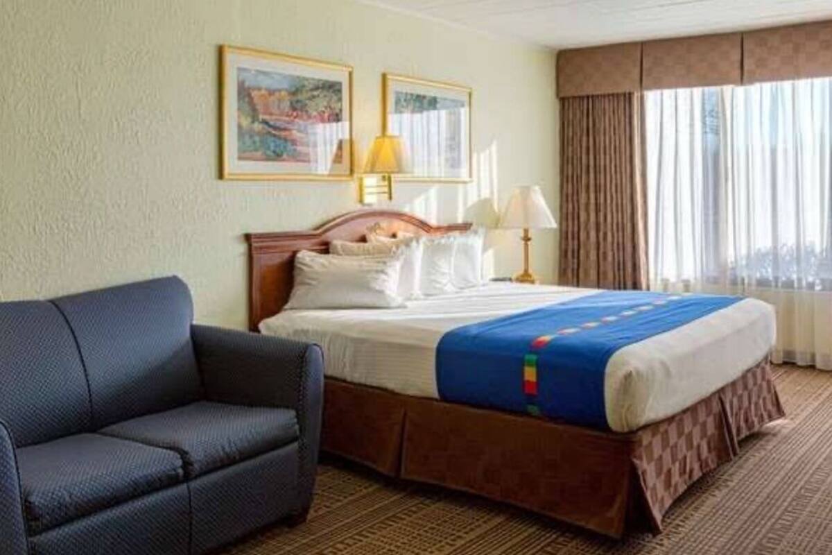 A hotel room with a bed, a sofa, a window with curtains, and two framed pictures on the wall.