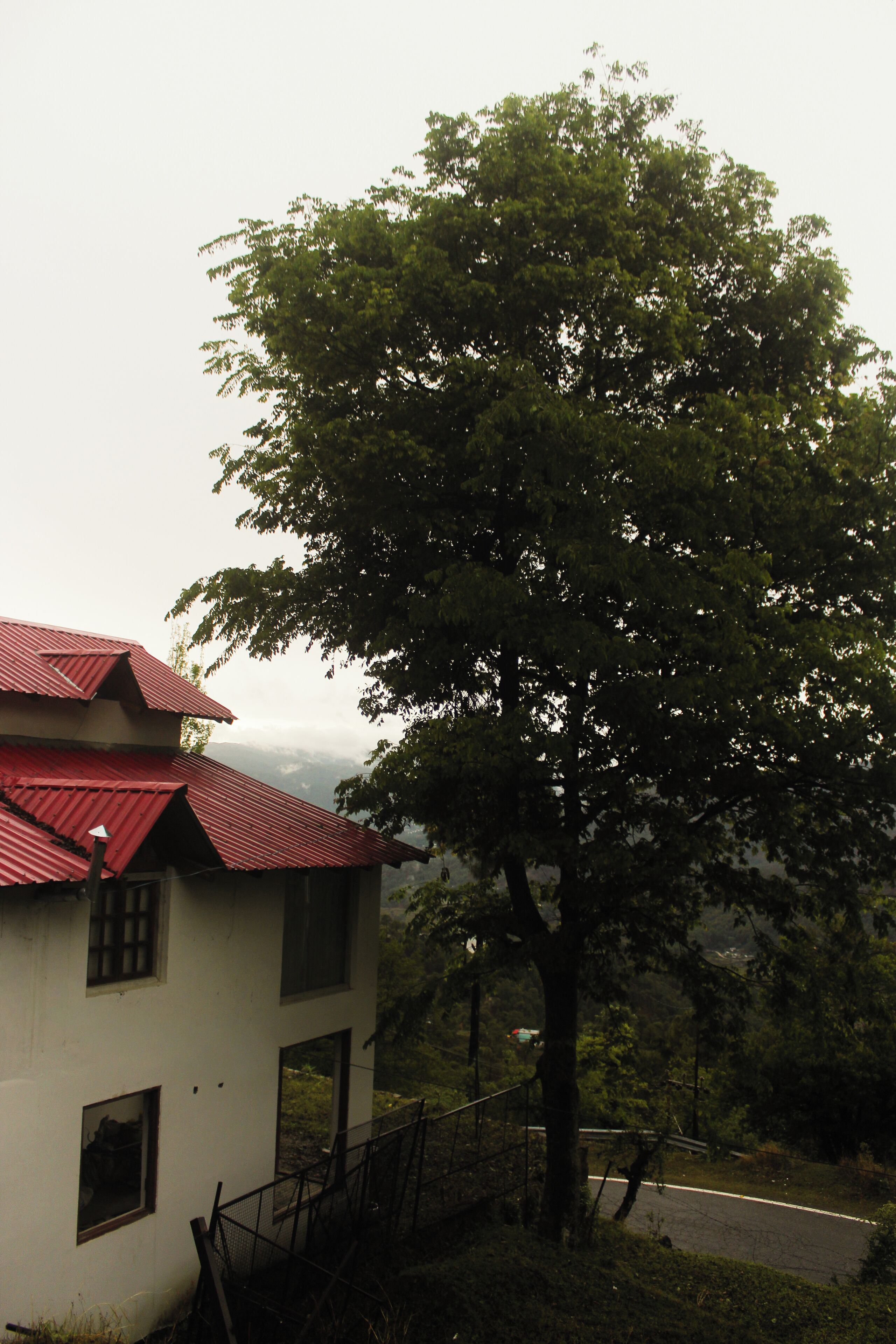 A building with a red roof, a tree in front, and a road in the background.
