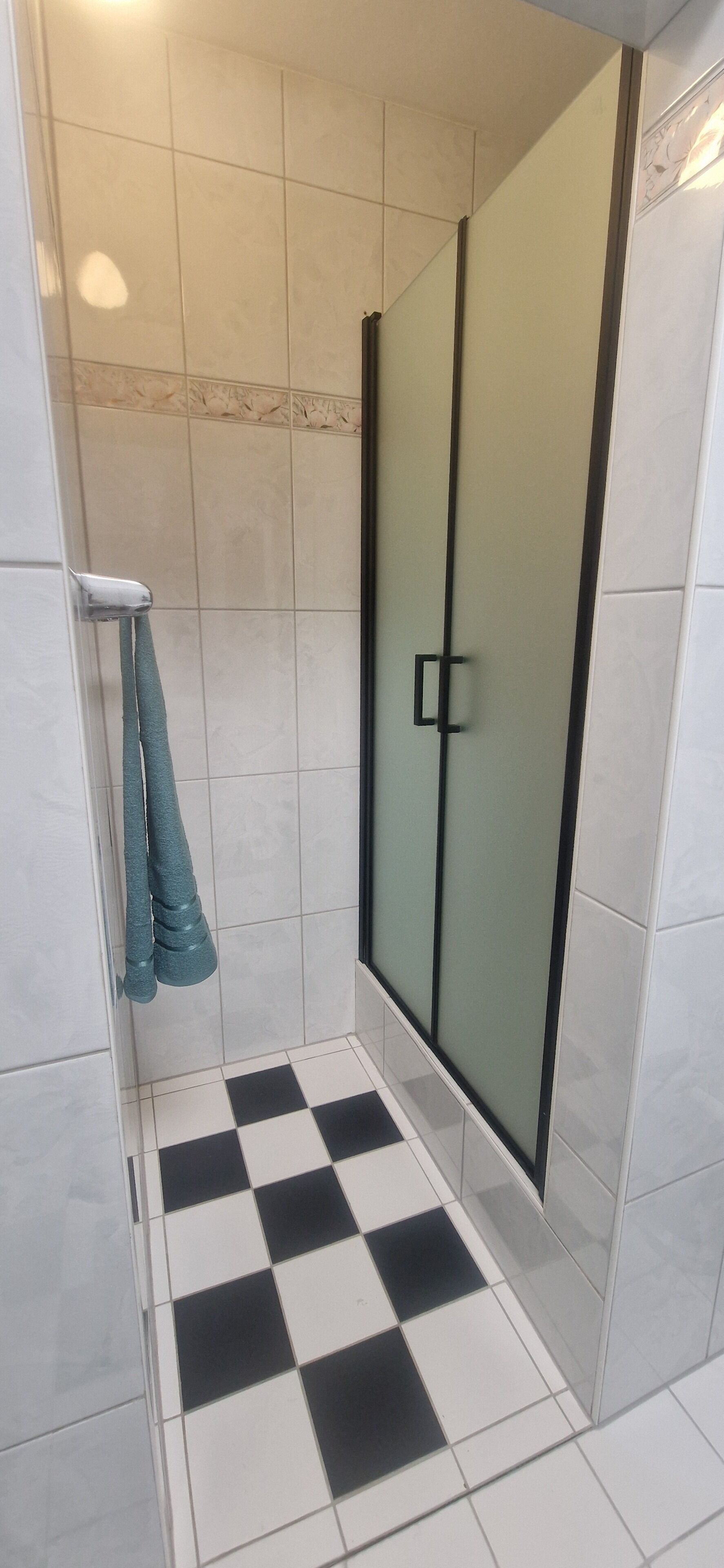 Dusche, Haartrockner, Handtücher, Seife