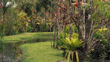 Áreas de la propiedad