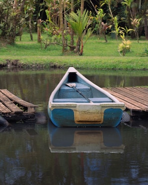 Ein kleines Boot an einem hölzernen Steg festgemacht, umgeben von ruhigem Wasser und viel Grün.