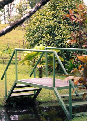 Property grounds - Cabañas Los Laguitos (Katira)