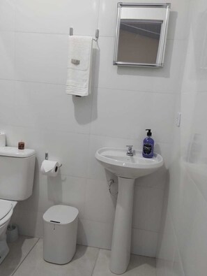 Shower, towels, soap, toilet paper