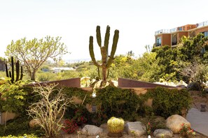 Property grounds - Las Arenas de Cabo one block from the beach (Cabo San Lucas)