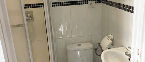 A bathroom with a toilet, sink, and mirror.
