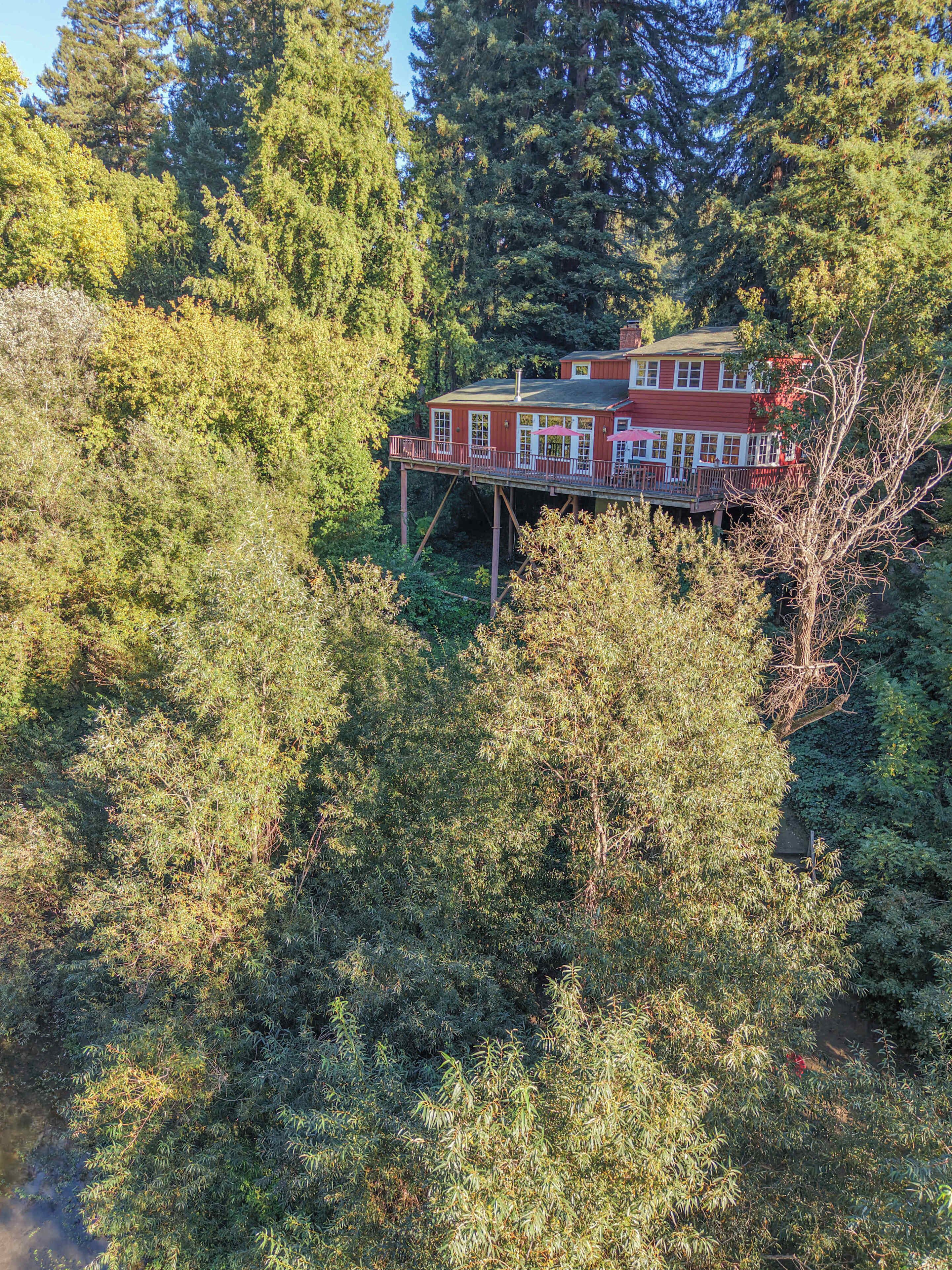 A house with a deck, surrounded by dense forest.
