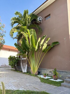Exterior detail - Pousada Casa Apoena (Jaboatão dos Guararapes)