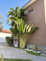 Detalle del exterior