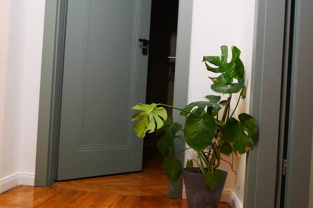 Spacious Designer 4-room Apartment in Center