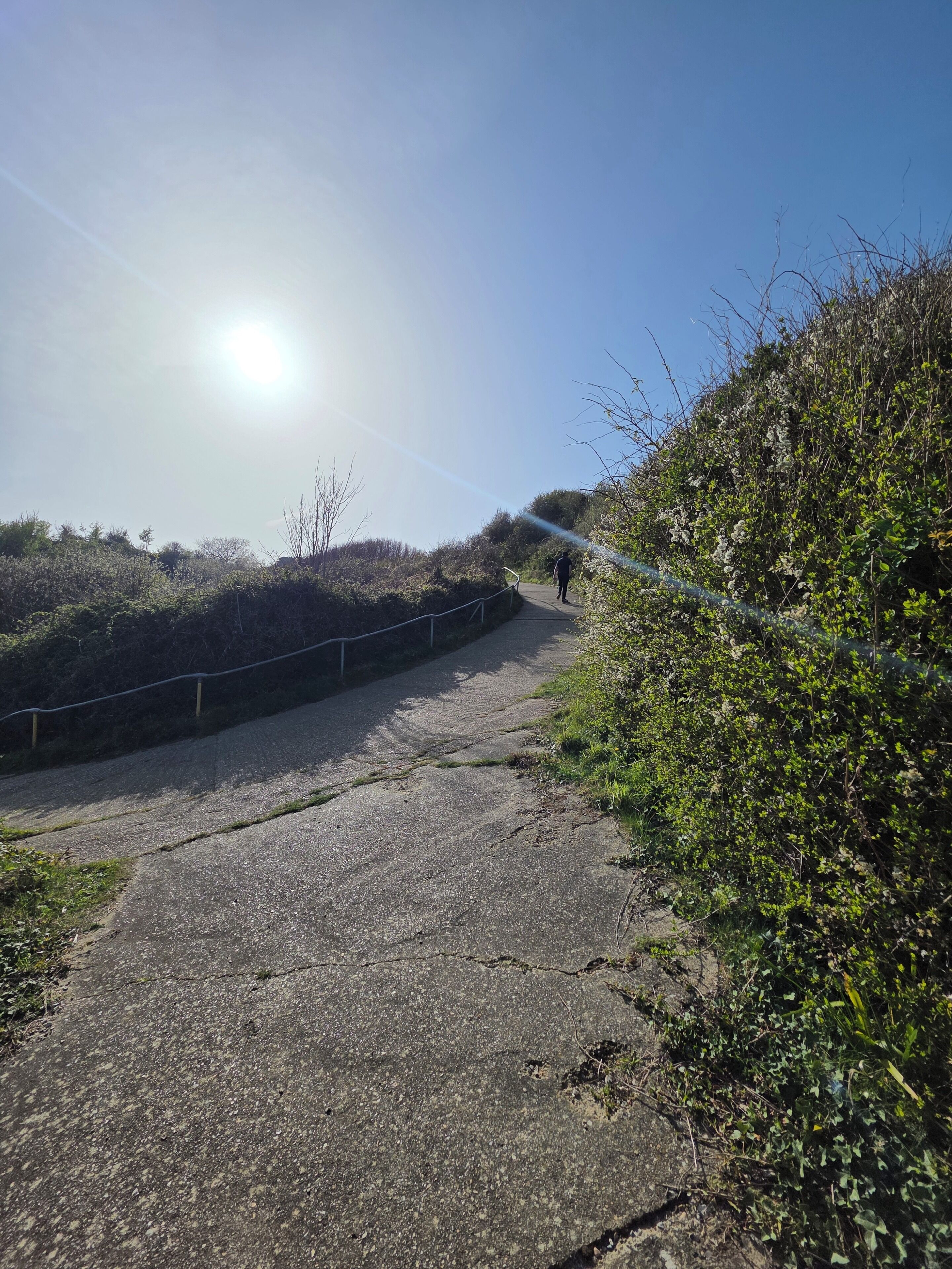 A paved pathway with a metal railing on one side, surrounded by greenery and bushes.