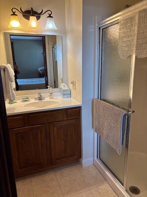 Shower, towels, soap, toilet paper - Delightful 4 bdrm Farmhouse and 1 bdrm Barnsuite near Turkey Run State Park (Marshall)