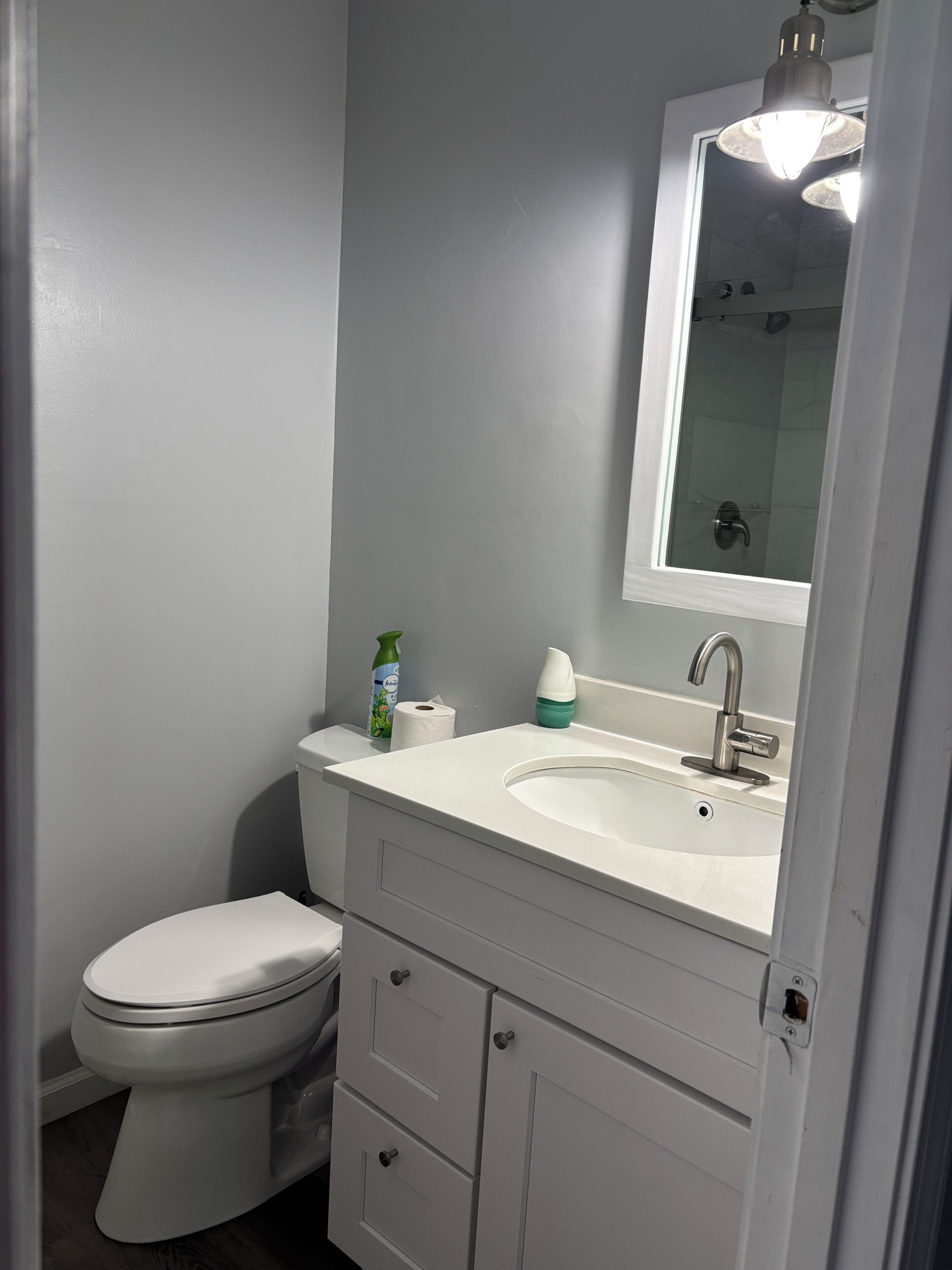 Un baño con inodoro, lavabo, espejo y armario.
