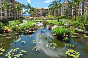 Property grounds - SPRING BREAK WEEK!  2 Bedroom Condo Kaanapali Beach. (Lahaina)