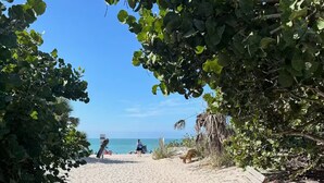 Un sentier qui longe la plage et mène à la mer, avec un banc en bois et un panneau indicateur.