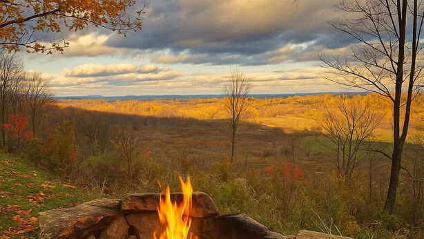 Un foyer en pierre où brûle un feu, entouré de feuilles d’automne, avec une vue sur un paysage boisé.